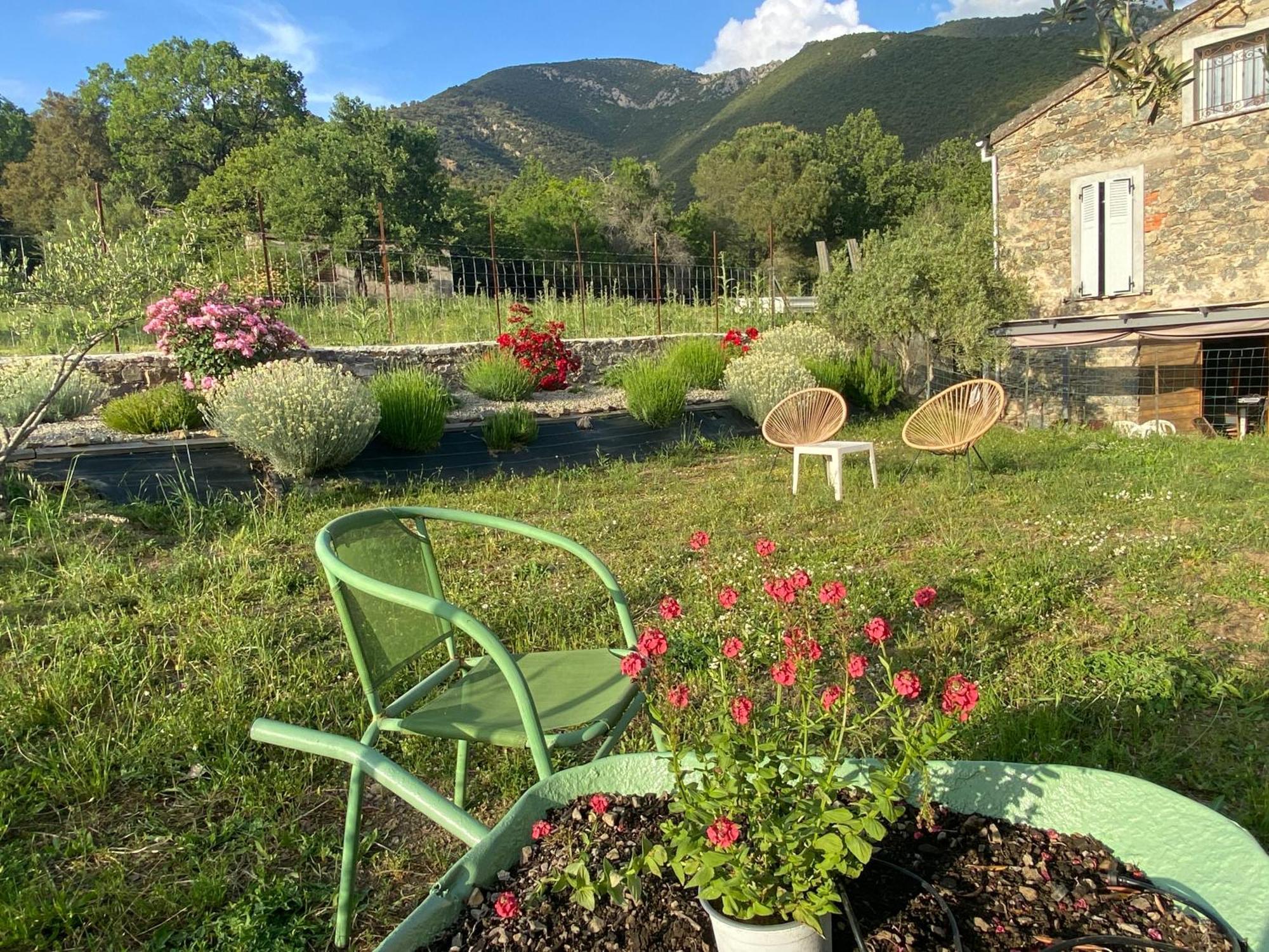 Villa Casa Orani Ponte-Leccia Esterno foto